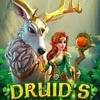 Druid's Enchanted screenshot