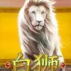 Bai Shi